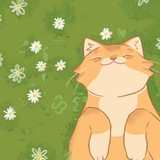 Telegram profile photo for CloudCat ✨