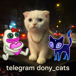 Telegram profile photo for دنیایه سرگرمی 🦄| dony_cats