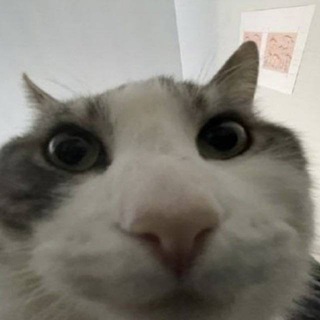 Telegram profile photo for MyChannel