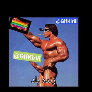 Telegram profile photo for محافظ گیف کیری