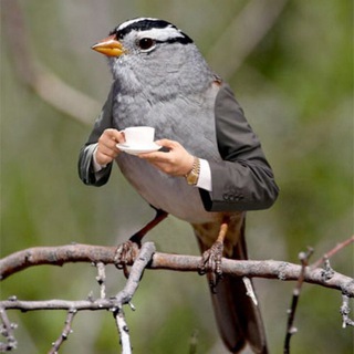 Telegram profile photo for News Alerts