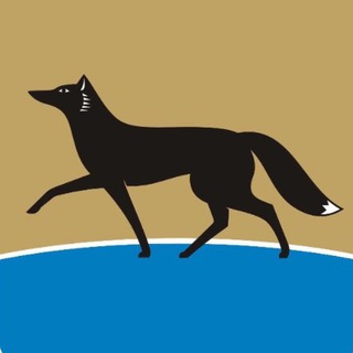 Telegram profile photo for ИНВЕСТИРУЙ в СУРГУТ