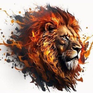 Telegram profile photo for 辛巴🦁