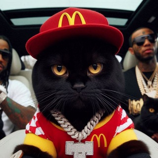 Telegram group profile photo for I'm MCMeow! ๐พ๐