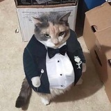 Telegram profile photo for Мемы на все случаи жизни