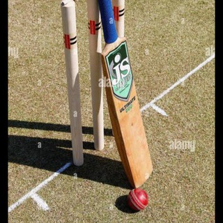 Telegram profile photo for Cricket guru