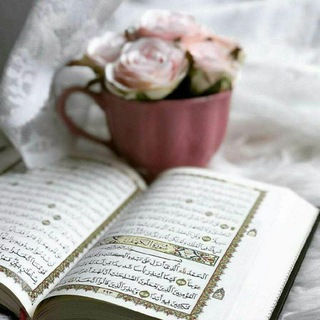 Telegram profile photo for قناة أم علي السلفية