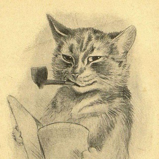 Telegram profile photo for N. thoughts emporium