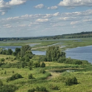 Telegram profile photo for Съебал с рабочего места/Strel! Lay!