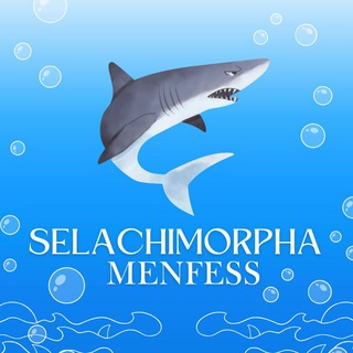 Telegram profile photo for ๐ฆ๐๐๐ฃ๐๐ ๐๐๐๐
๐๐๐