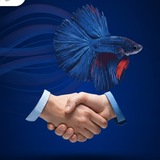Telegram profile photo for bettoserb_uz