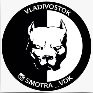 Telegram profile photo for Smotra_VL