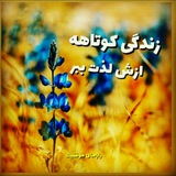 Telegram profile photo for گلهای آپارتمانی پرورش خانگی بانو