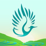 Telegram profile photo for Heron Asia Announcements