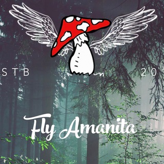 Telegram profile photo for Fly Amanita Channel
