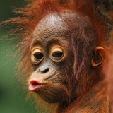 Telegram profile photo for atb bsc
