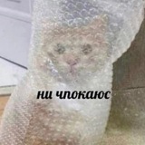 Telegram profile photo for Тисше fm