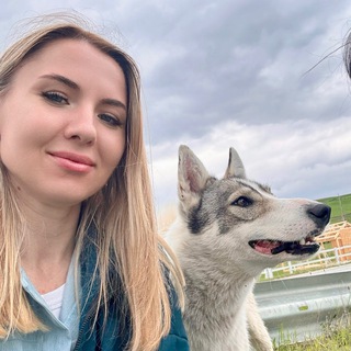 Telegram profile photo for ГРУМЕР 🔷 СТРИЖКА СОБАК | КОШЕК | РОСТОВ | АКСАЙ | ЯНТАРНЫЙ | ГРУМИНГ