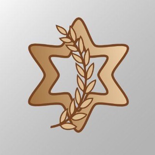 Telegram profile photo for Israel Defense Force Parody