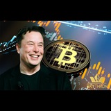 Telegram profile photo for همستر ایران تب سواپ بازی درآمد دلاری💵منطقه بستک❤