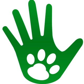Telegram group profile photo for Кожухово_Dogs