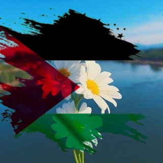 Telegram profile photo for حالات تصميم 🇵🇸
