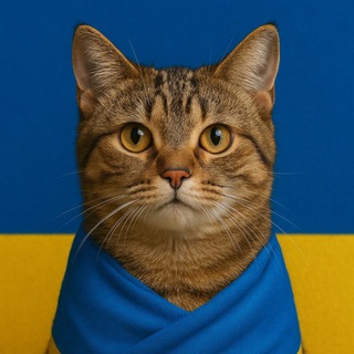 Telegram profile photo for Котики України