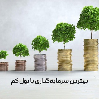 Telegram profile photo for سرمایه گذاری نوین {سوددهی روزانه}