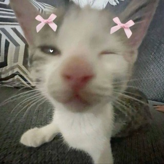 Telegram profile photo for Жизнь еси и ани💋