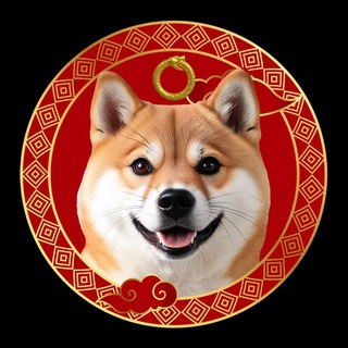 Telegram profile photo for $AKITA 华人社区 - CTO