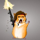 Telegram profile photo for Free Pumps from Angry Hamsters