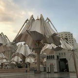 Telegram profile photo for Madina ifori🍃🫀