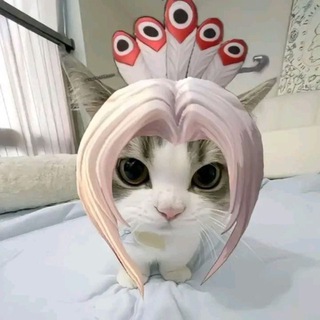 Telegram profile photo for Lo Zenn Buy&Sell ち