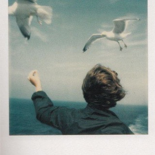 Telegram profile photo for учись прямо сейчас.