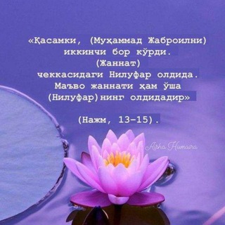 Telegram profile photo for Xavvo Tohirovna guruhi