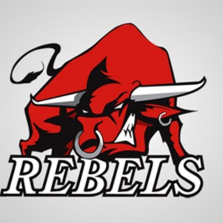 Telegram profile photo for Rebels HYPE - Monitoring