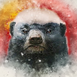 Telegram profile photo for Mad_Medoed
