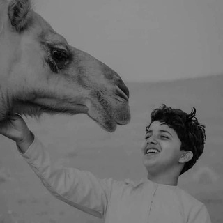 Telegram profile photo for برقا°