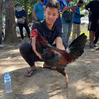 Telegram group profile photo for ទ្រុងបក្សីម្លប់សារី