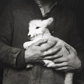 Telegram profile photo for let it be.