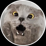 Telegram profile photo for Chartreux $chart CTO