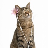 Telegram profile photo for paradise city