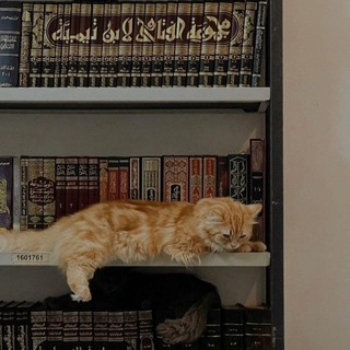Telegram profile photo for سَـرْمَــدا