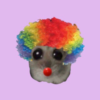 Telegram profile photo for ๐๐๐๐๐๐๐ ๐๐๐๐๐