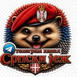 Telegram profile photo for Српски јеж