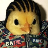 Telegram profile photo for Boss Bape Coin | Portal
