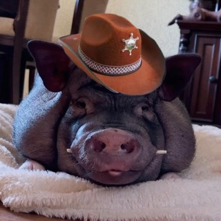 Telegram profile photo for Tanya_Berg_