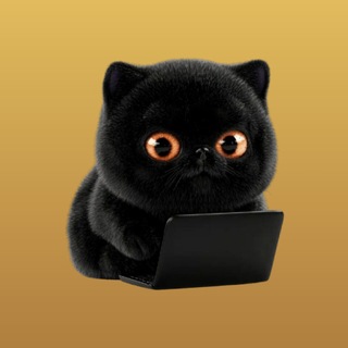 Telegram profile photo for ⃝🅥 888