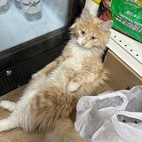 Telegram profile photo for Отзывник