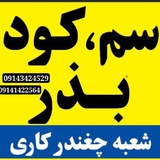 Telegram profile photo for 🌾 سموم کشاورزی مهندس آزرنگ🌾